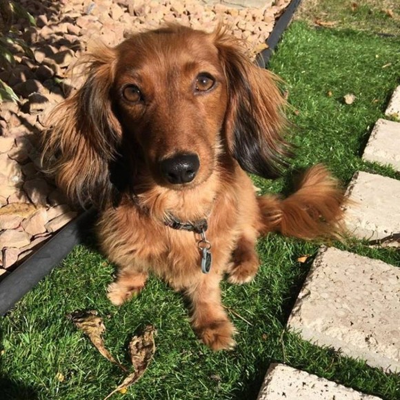 Meet your Posher, Noreen - Picture 1 of 1